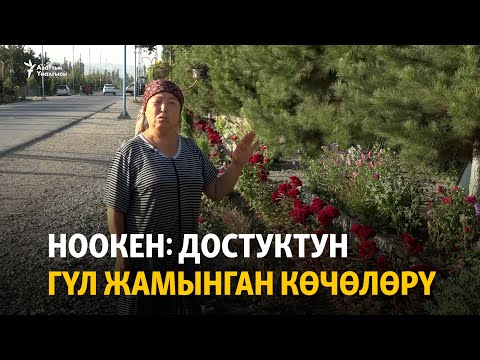 Видео: Ноокен: Достуктун гүл жамынган көчөлөрү