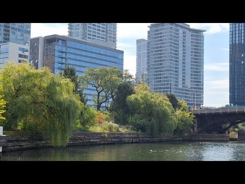 Видео: Еду на Жёлтом Водном ТАКСИ  до ЧайноТауна - завораживающая Красота Кругом - Чикаго Волшебный город 🥰