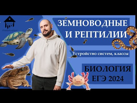 Видео: Классы ЗЕМНОВОДНЫЕ и РЕПТИЛИИ для ЕГЭ 2024 |ЕГЭ БИОЛОГИЯ|Freedom|
