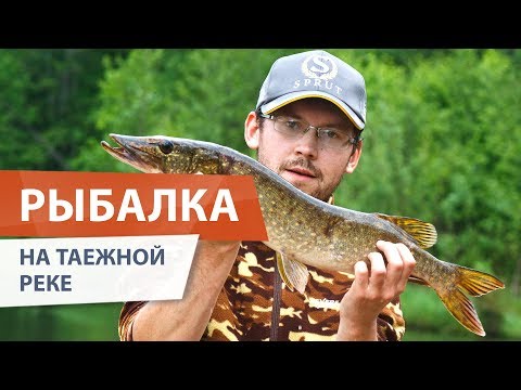 Видео: Сплав по реке КЕРЖЕНЕЦ. Рыбалка в таежной глуши