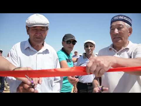 Видео: Ожырай Қоршылардың кездесуі 