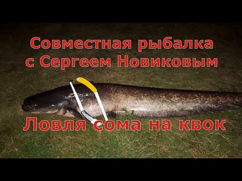 Видео: Ловля сома на квок вместе с Сергеем Новиковым.