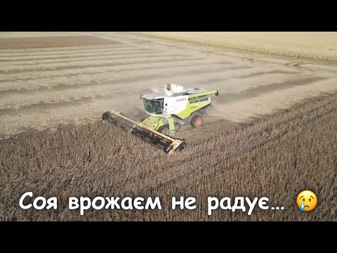 Видео: Молотимо сою на два комбайни‼️  Рятуємо Тукано від біди 🫣