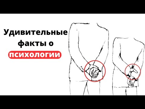 Видео: 7 удивительных фактов о психологии // Rolf Dobelli