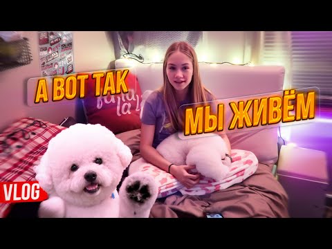 Видео: VLOG ИЗ США / ЖИЗНЬ В НЕОБЫЧАЙНОЙ АМЕРИКЕ #сшавлог