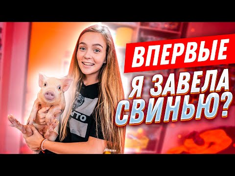 Видео: ВПЕРВЫЕ: МИНИ ПИГ ДОМА! // КУПАЮ В ВАННОЙ и ВЫГУЛИВАЮ С ПОВОДКОМ