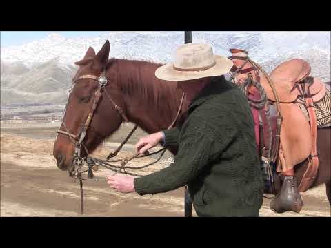 Видео: Несколько золотых советов от Пэта