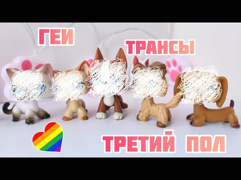 Видео: Распаковка lps топ 5 | Обозначить гендер — это настоящий гемор 🌈