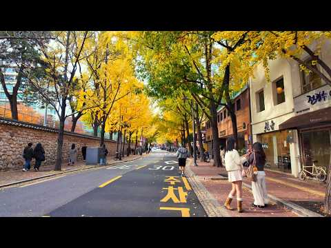 Видео: Прогулка по Желтой Кленовой Дороге дворца Токсугун l Экскурсия по Сеулу l 4K HDR