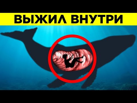 Видео: Люди, Которых Нашли В Самых Невероятных Местах. Часть 2