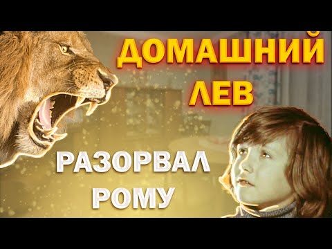 Видео: БЕРБЕРОВЫ: как обычная советская семья держала львов и поплатилась за это жизнью сына