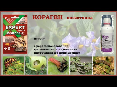 Видео: Кораген - современное, эффективное и безопасное средство от вредителей. Видеообзор