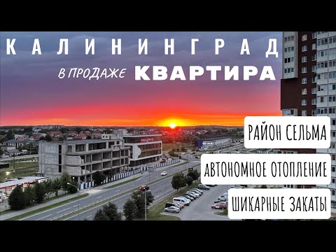 Видео: Квартира в Калининграде. Сельма. Ул. Челнокова. Рум тур