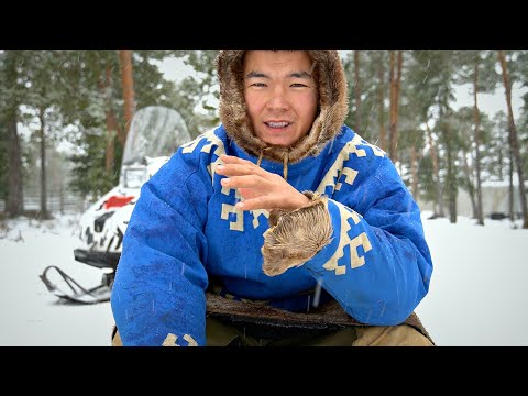 Видео: РЕДКОСТНЫЙ УБЛЮДОК ЭТОТ СНЕГОХОД, STELS Мороз. ВОДА ПРОТИВ STELSа