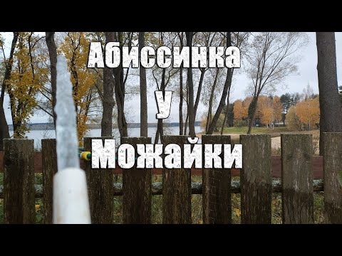 Видео: Водонос напугал. Belamos не закачал воду. Абиссинская скважина рядом с Можайским водохранилищем.