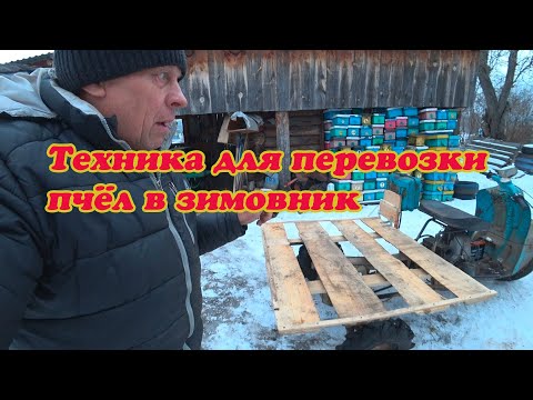 Видео: ТЕХНИКА ПРИ ПЕРЕВОЗКЕ ПЧЁЛ В ЗИМОВНИК, ЗИМОВКА ПЧЁЛ И ПАСЕЧНЫЕ РАБОТЫ