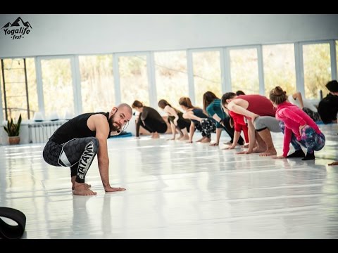 Видео: Yogalife Fest представляет сет Константина Ронина "Animal Flow"
