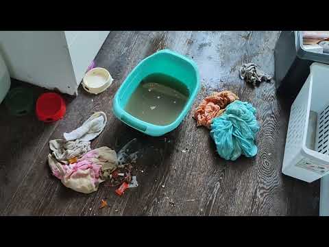 Видео: Уборка #468 чп на кухне, стирка)