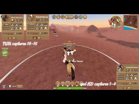 Видео: Все мои уловы IUH (14-16) и ND (1-4) | Острова диких лошадей!