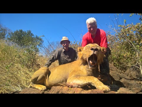 Видео: Hunting in Zimbabwe 2017. - Охота в Зимбабве 2017.