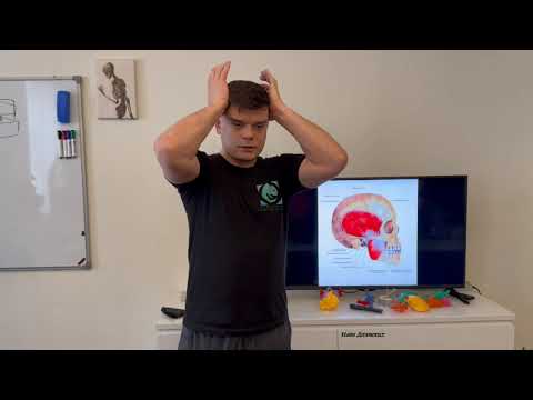 Видео: Диагностика челюсти, разбор жевательных мышц и прикуса