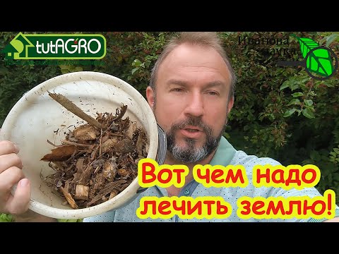 Видео: САМОЕ ЗАГАДОЧНОЕ СРЕДСТВО ДЛЯ САМОЙ ПЛОДОРОДНОЙ ПОЧВЫ: в 150 раз дешевле и в 1000 раз эффективнее!