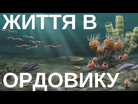 Видео: Ордовицький період: шалене видоутворення та вимирання