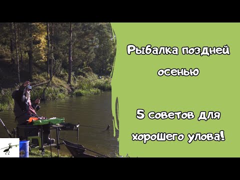 Видео: ТЫ ПОЙМАЕШЬ ЛЕЩА В НОЯБРЕ, если будешь делать 5 простых вещей! Секреты рыбалки на фидер осенью