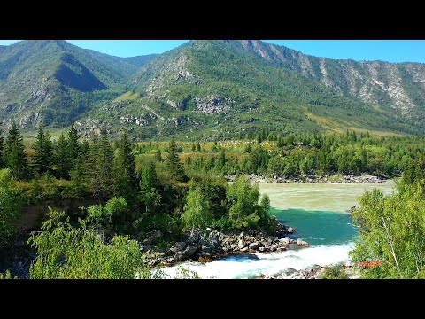 Видео: Вот чем отличается ГОРНАЯ РЫБАЛКА от рыбалки на равнинах/Катунь и хариус реки Кадрин/Алтай и рафтинг