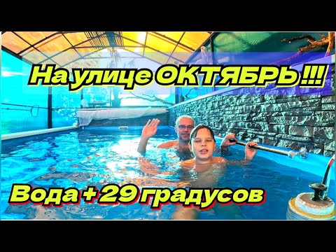 Видео: БАССЕЙН, ПОДГОТОВКА К ЗИМЕ.  Жизнь в деревне.