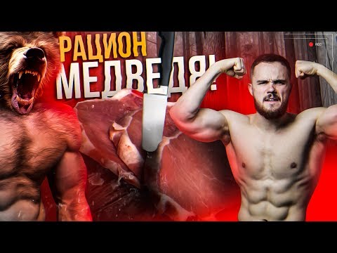 Видео: Рацион Медведя 4000+ Калорий (Набор Массы) | RD 268