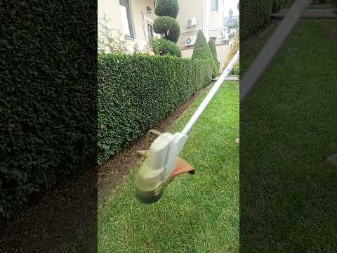 Видео: Оформление края газона.