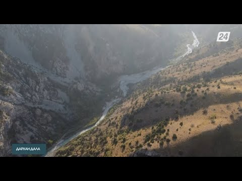 Видео: Түркістан облысына күзгі саяхат | Дархан дала