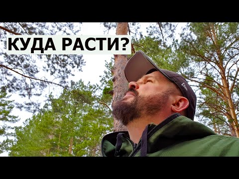 Видео: КУДА МНЕ РАСТИ / РАСШИРЕНИЕ МАСТЕРСКОЙ