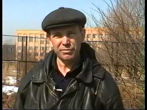 Видео: Обрезка ягодных кустарников