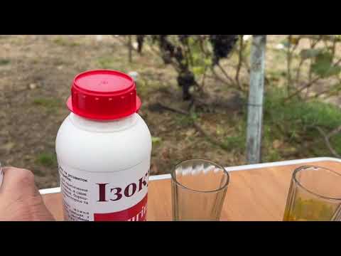 Видео: Внимание фальсификат