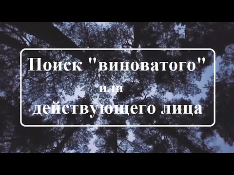 Видео: Лакшми. Поиск виноватого (деятеля)