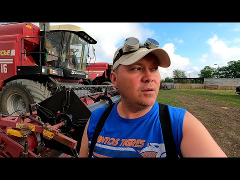 Видео: Сельская жизнь! Уборка урожая 2024 в полном разгаре! Ремонт квартиры для вновь прибывших!