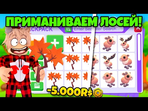 Видео: 🔥ПРИМАНИВАЕМ ЛОСЕЙ Я В ШОКЕ…😨 В АДОПТ МИ! НОВЫЕ ПИТОМЦЫ В ADOPT ME! МИНУС 5.000 РОБУКСОВ