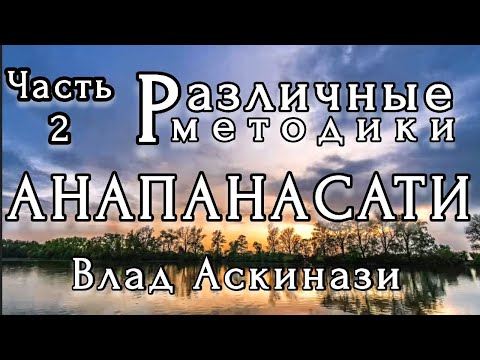 Видео: Влад Аскинази. Различные методики Анапанасати. Часть 2. Тханиссаро Бхикку, Чуладаса, Алан Уоллес.