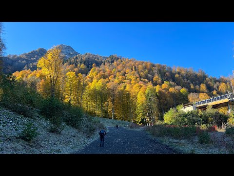 Видео: Пешком на Чёрную пирамиду (высота 2300+) Красная поляна