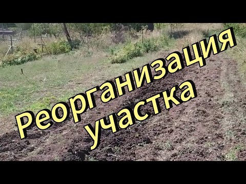 Видео: Реорганизация участка