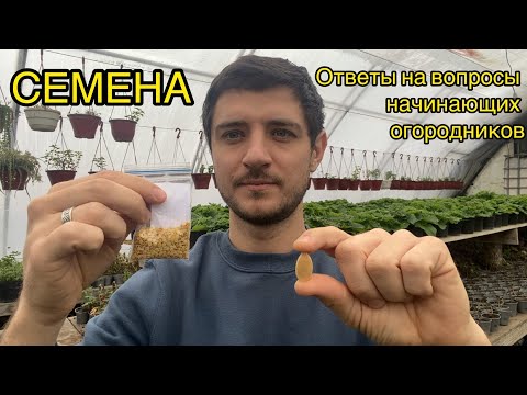 Видео: СЕМЕНА. Самые частые вопросы по семенам. Подготовка, проращивание, хранение, стратификация ...