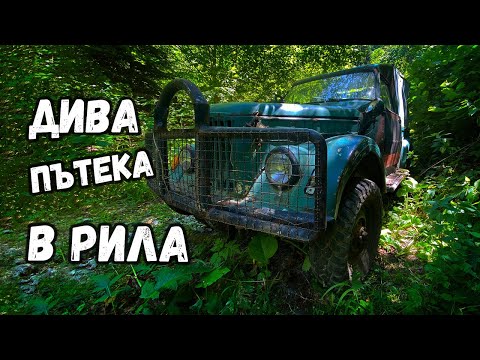 Видео: Из дивите гори на Рила | Среща със ЩРАУСИ отблизо!