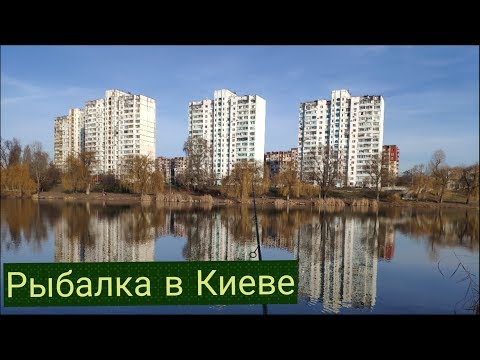 Видео: Рыбалка в Киеве / Street Fishing / Ловля щуки на Джиг-ригг.