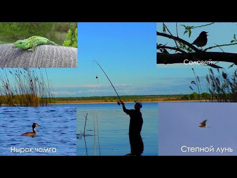 Видео: РЫБАЛКА С НОЧЕВОЙ, КУТУЛУКСКОЕ ВОДОХРАНИЛИЩЕ, осваиваем новое место рыбалки