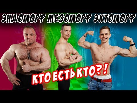 Видео: Как определить тип телосложения? (Виктор Блуд, Шреддер, Кузя, Саратов, Зум, Бабич!)