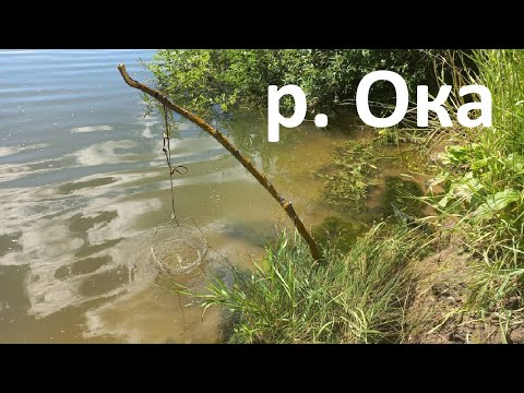 Видео: Река Ока. Ловлю на резинку, рассказываю о снасти