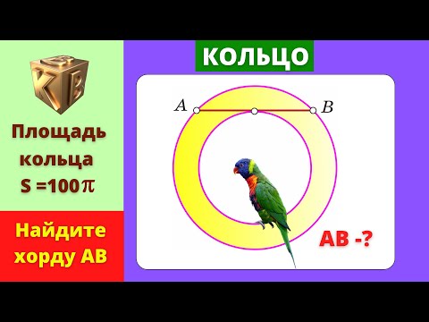 Видео: ПЛОЩАДЬ КОЛЬЦА!