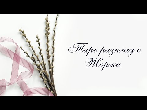 Видео: 🐤Искаш ли да се видим в този момент?🙈